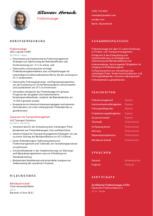 Lebenslauf-Vorlage für Flottenmanager*in #3