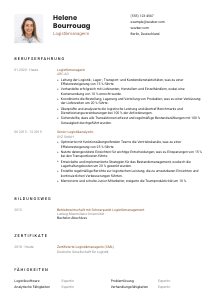 Lebenslauf-Vorlage für Logistikmanager*in #1