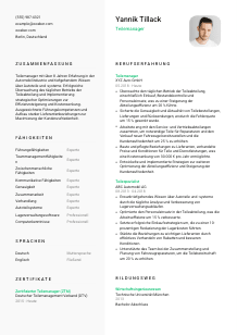 Lebenslauf-Vorlage für Teilemanager*in #2