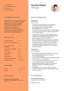 Lebenslauf-Vorlage für Teilemanager*in #3