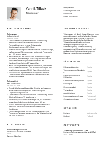 Lebenslauf-Vorlage für Teilemanager*in #1