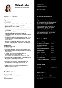 Lebenslauf-Vorlage für Regionaler Betriebsleiter*in #3