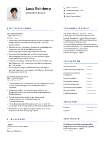 Lebenslauf-Vorlage für Versandkoordinator*in #2