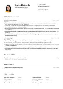 Lebenslauf-Muster für Lieferkettenmanager*in