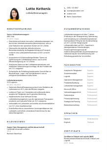 Lebenslauf-Vorlage für Lieferkettenmanager*in #2