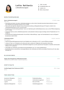 Lebenslauf-Vorlage für Lieferkettenmanager*in #3