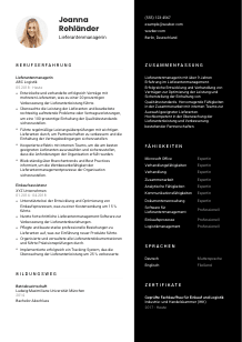 Lebenslauf-Vorlage für Lieferantenmanager*in #3