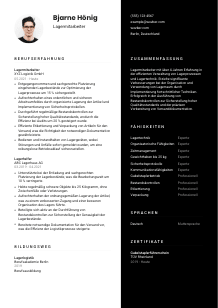 Lebenslauf-Vorlage für Lagermitarbeiter*in #3