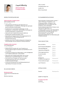 Lebenslauf-Vorlage für Stellvertretende*r Produktionsleiter*in #2