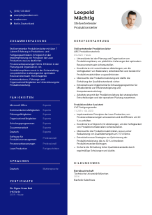 Lebenslauf-Vorlage für Stellvertretende*r Produktionsleiter*in #3