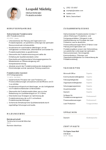 Lebenslauf-Vorlage für Stellvertretende*r Produktionsleiter*in #1