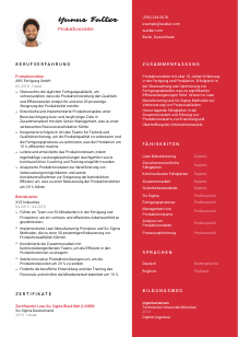 Lebenslauf-Vorlage für Produktionsleiter*in #3