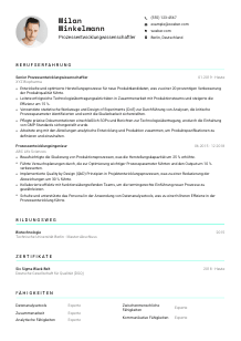 Lebenslauf-Vorlage für Prozessentwicklungwissenschaftler*in #3