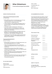 Lebenslauf-Vorlage für Prozessentwicklungwissenschaftler*in #1