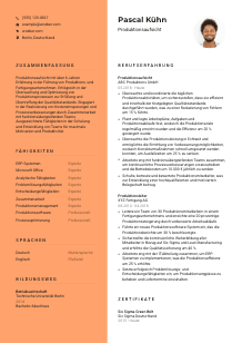 Lebenslauf-Vorlage für Produktionsaufsicht #3