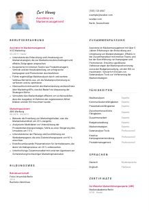 Lebenslauf-Vorlage für Assistenz im Markenmanagement #2