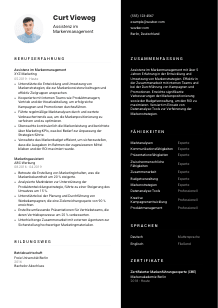 Lebenslauf-Vorlage für Assistenz im Markenmanagement #3