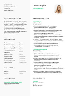 Lebenslauf-Vorlage für Markendirektor*in #2