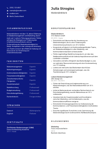 Lebenslauf-Vorlage für Markendirektor*in #3