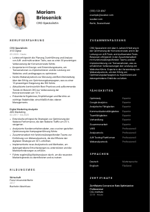 Lebenslauf-Vorlage für CRO-Spezialist*in #3