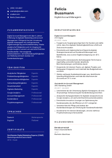 Lebenslauf-Vorlage für Digital-Account-Manager*in #3