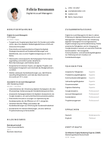 Lebenslauf-Vorlage für Digital-Account-Manager*in #1