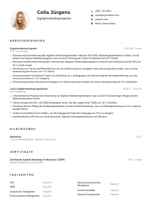 Lebenslauf-Muster für Digitalmarketing-Expert*in