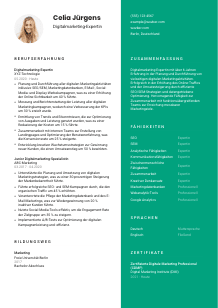Lebenslauf-Vorlage für Digitalmarketing-Expert*in #2