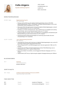 Lebenslauf-Vorlage für Digitalmarketing-Expert*in #1