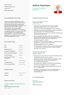 Lebenslauf-Vorlage für Executive für digitales Marketing #2