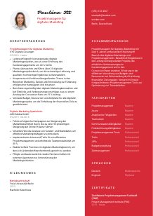 Lebenslauf-Vorlage für Projektmanager*in digitales Marketing #3