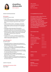 Lebenslauf-Vorlage für SEO-Analyst*in #3
