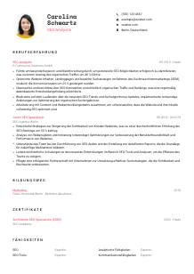 Lebenslauf-Vorlage für SEO-Analyst*in #1