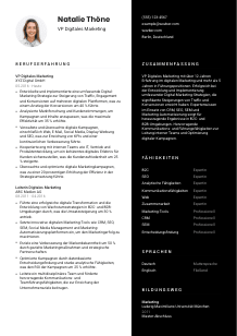 Lebenslauf-Vorlage für VP Digitales Marketing #3