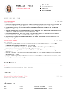 Lebenslauf-Vorlage für VP Digitales Marketing #1