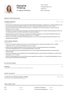 Lebenslauf-Vorlage für VP Digitales Marketing #2