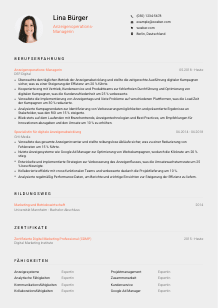 Lebenslauf-Vorlage für Anzeigenoperations-Manager*in #3