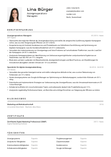 Lebenslauf-Vorlage für Anzeigenoperations-Manager*in #2
