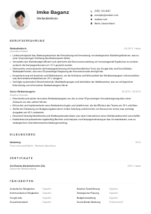 Lebenslauf-Muster für Werbedirektor*in