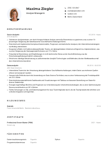 Lebenslauf-Muster für Analyse-Manager*in