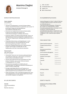 Lebenslauf-Vorlage für Analyse-Manager*in #2