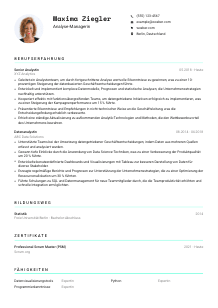 Lebenslauf-Vorlage für Analyse-Manager*in #3