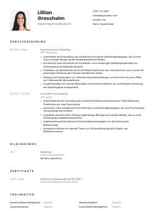 Lebenslauf-Vorlage für Marketing-Koordinator*in #1