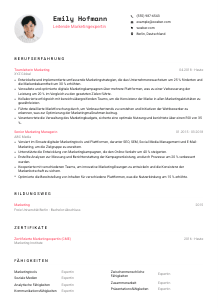 Lebenslauf-Vorlage für Leitende*r Marketingexpert*in #1