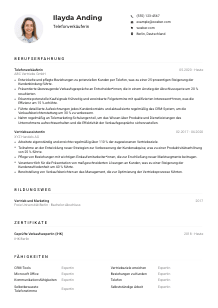 Lebenslauf-Muster für Telefonverkäufer*in