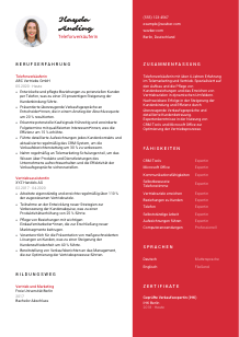 Lebenslauf-Vorlage für Telefonverkäufer*in #3