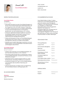 Lebenslauf-Vorlage für Social Media Direktor*in #2