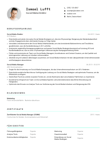 Lebenslauf-Vorlage für Social Media Direktor*in #3