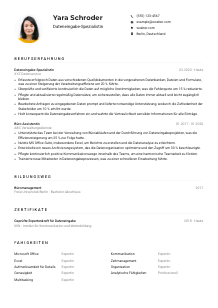 Lebenslauf-Muster für Dateneingabe-Spezialist*in