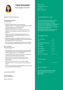 Lebenslauf-Vorlage für Dateneingabe-Spezialist*in #2